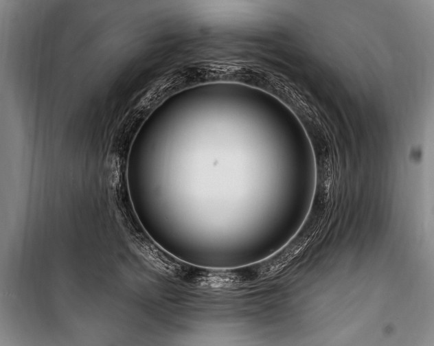 X0000101170758200806271034