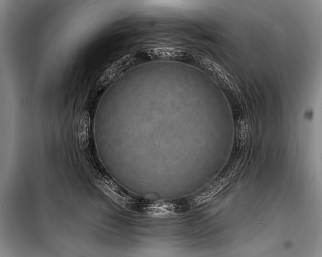 X0000101170760200806271034