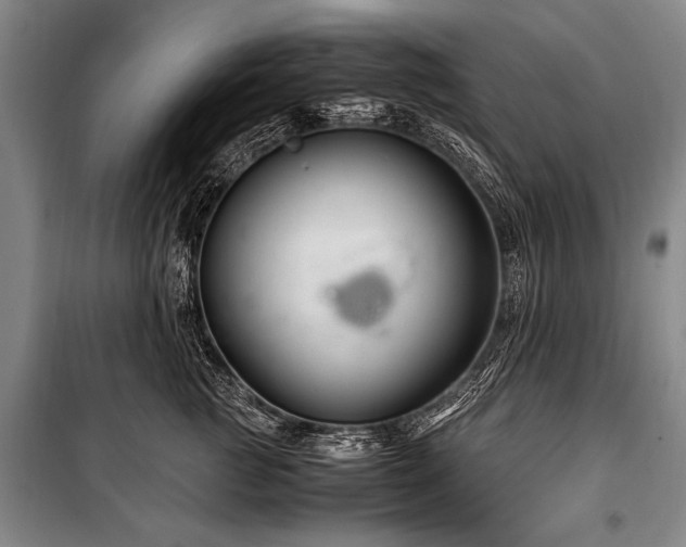 X0000101170761200806271034