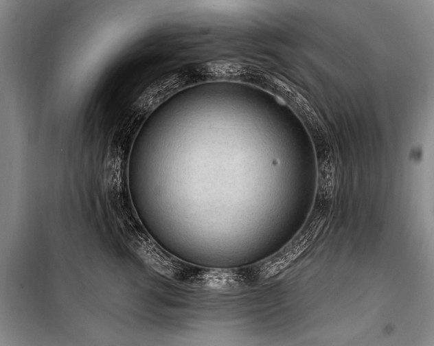 X0000101170762200806271034