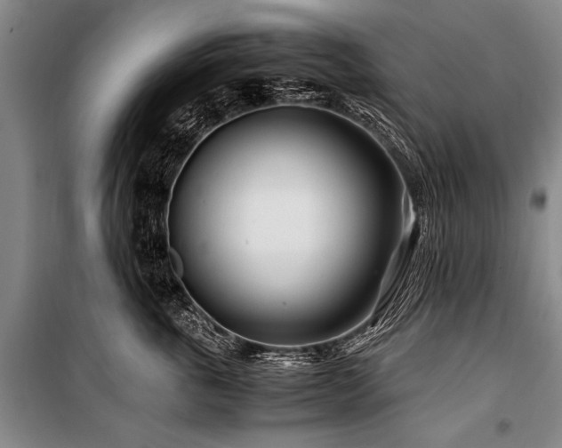 X0000101170763200806271034