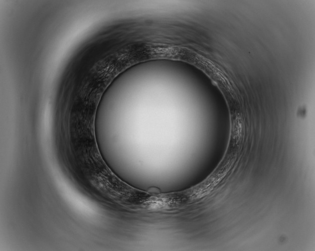 X0000101170764200806271034