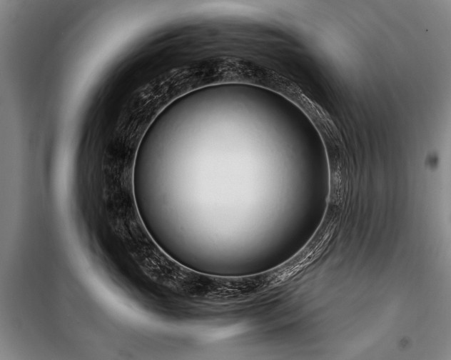 X0000101170765200806271034
