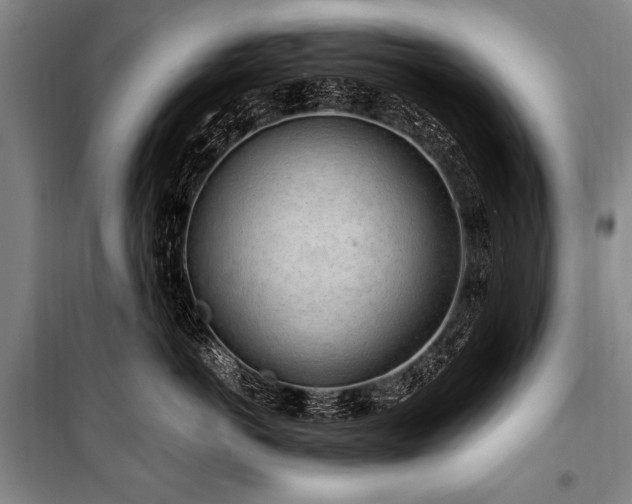X0000101170766200806271034