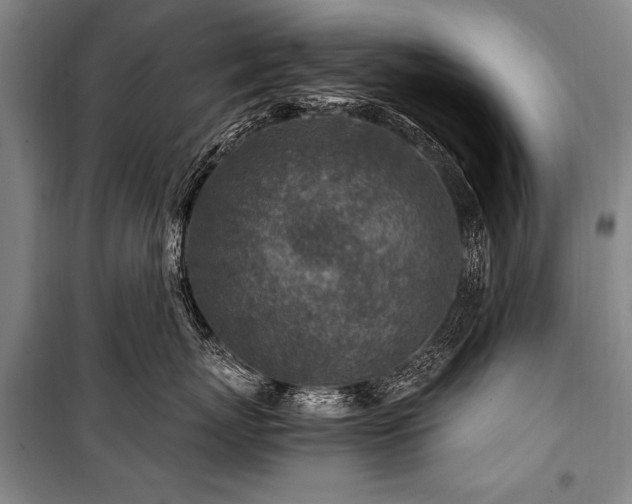 X0000101170767200806271034