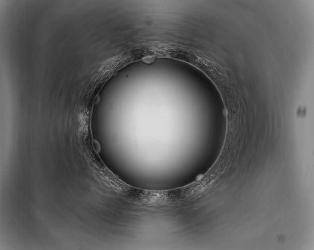 X0000101170768200806271034