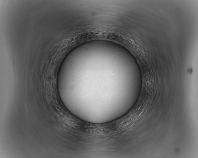X0000101170769200806271033