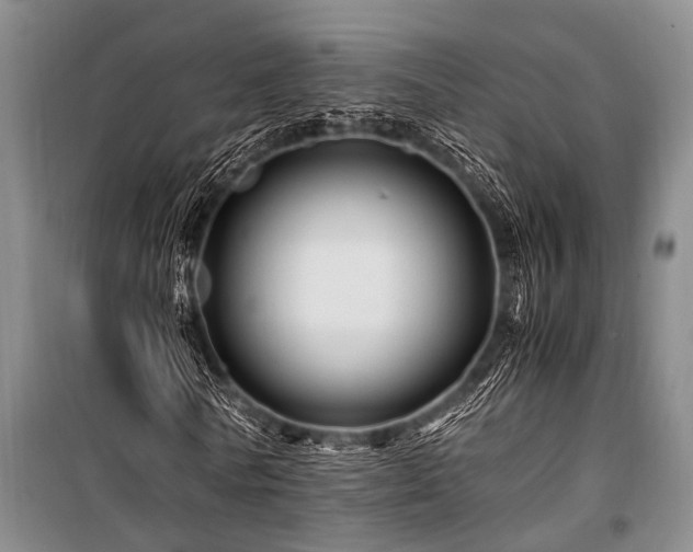 X0000101170770200806271033