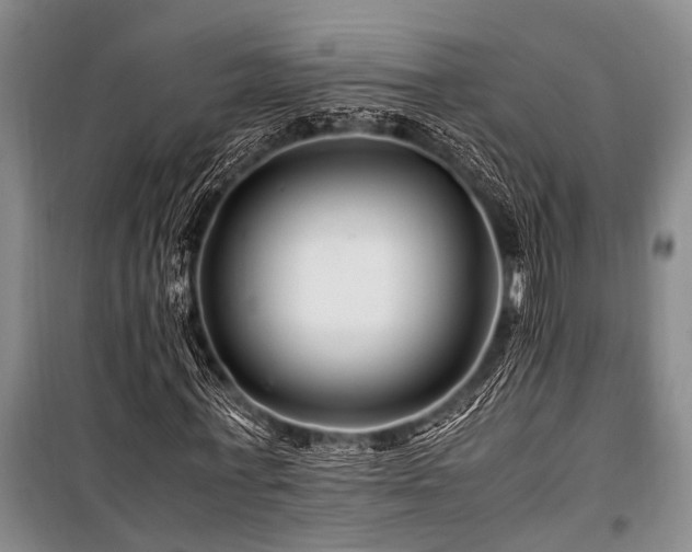 X0000101170771200806271033