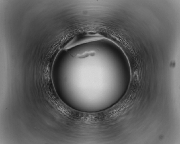 X0000101170772200806271033