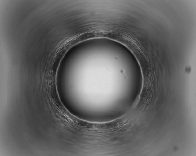 X0000101170773200806271033