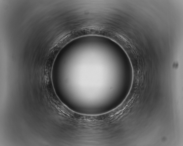 X0000101170774200806271033