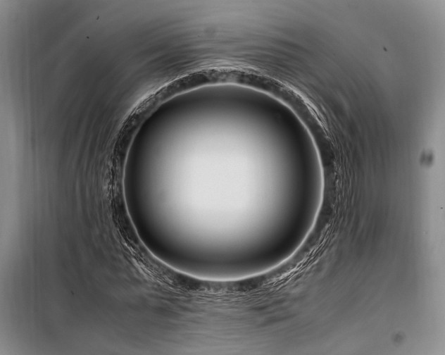 X0000101170775200806271033