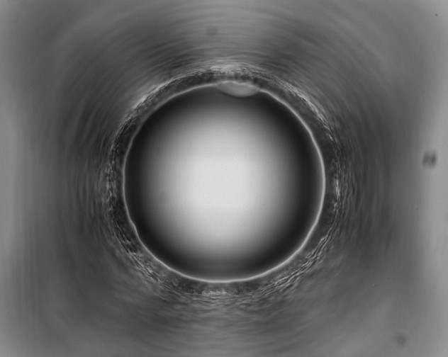 X0000101170776200806271033