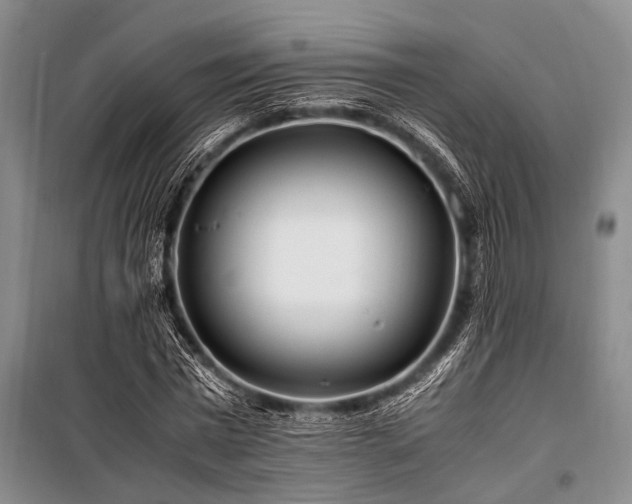 X0000101170777200806271033