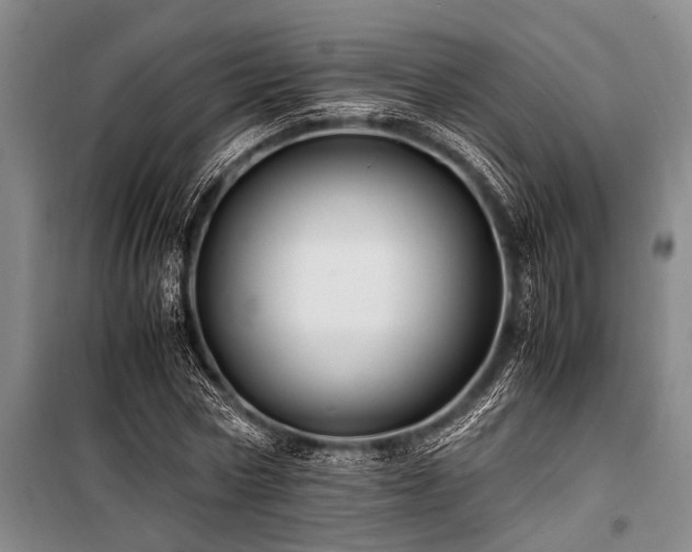 X0000101170778200806271033