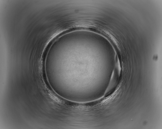 X0000101170779200806271033