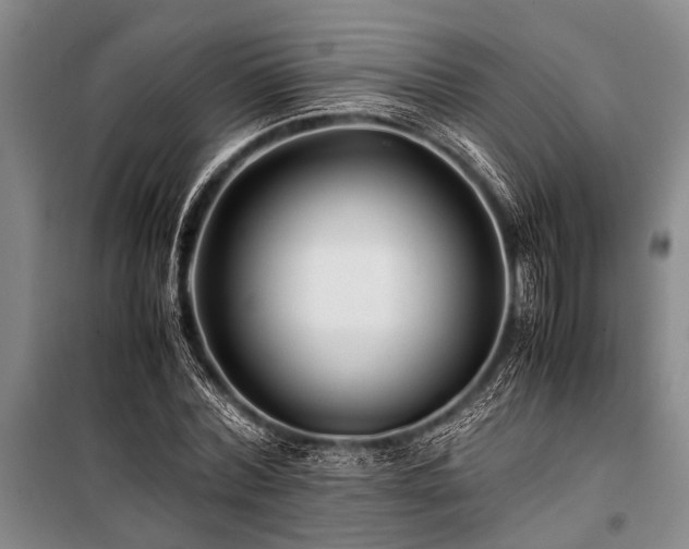 X0000101170780200806271033