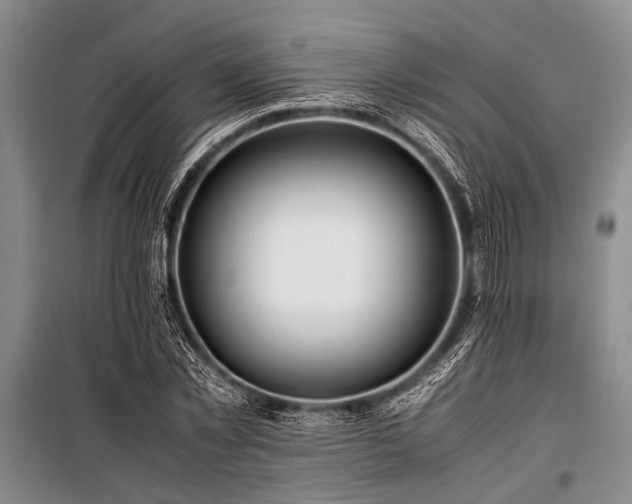 X0000101170781200806271033