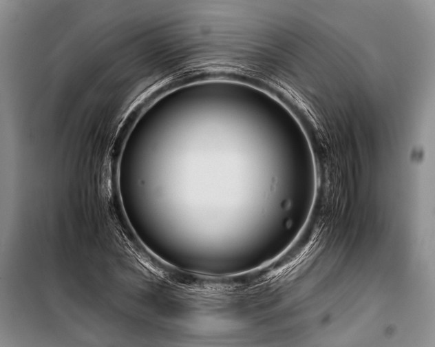 X0000101170782200806271033