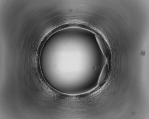X0000101170783200806271033