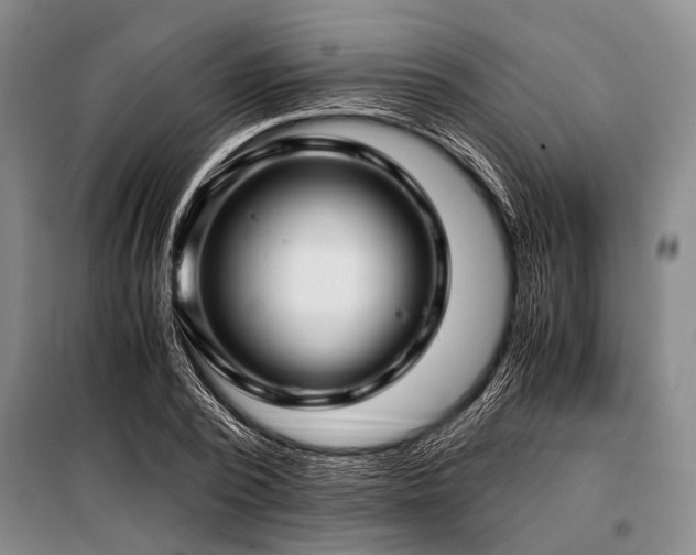 X0000101170784200806271033