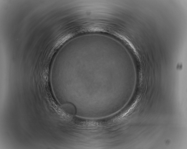 X0000101170785200806271033