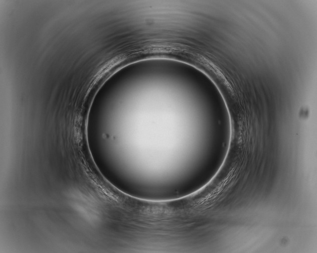 X0000101170786200806271033