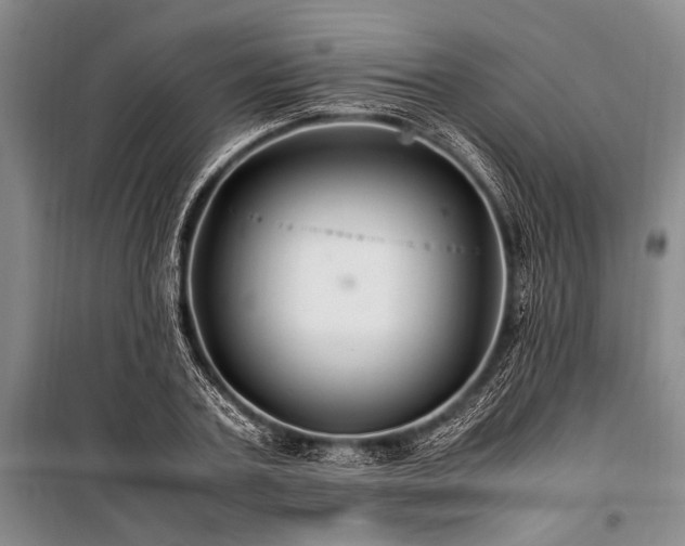 X0000101170787200806271033