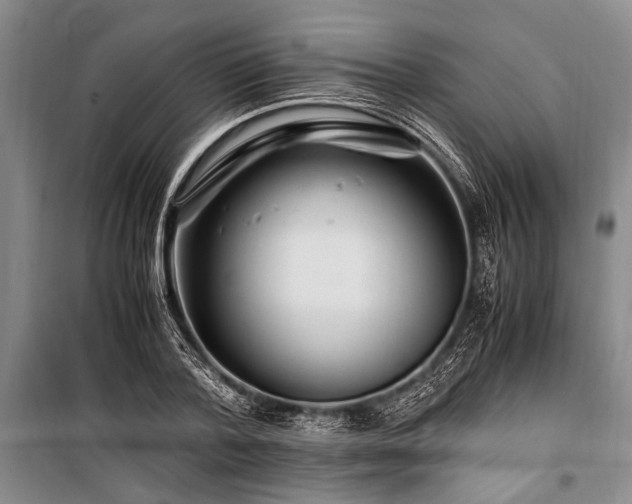 X0000101170788200806271033