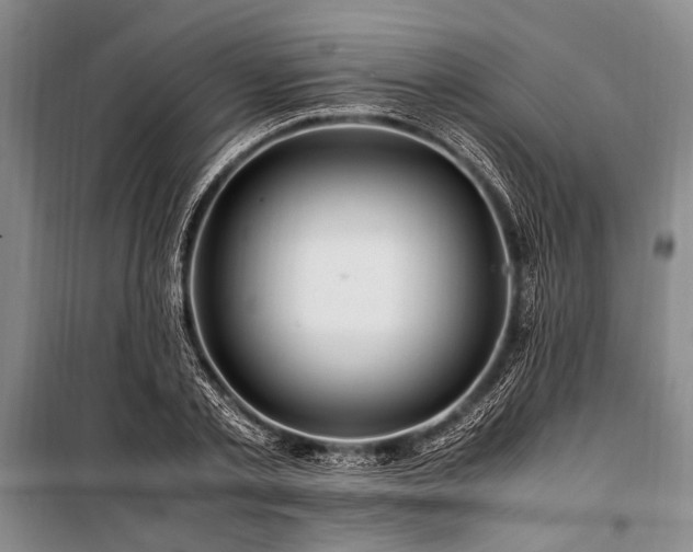 X0000101170789200806271033