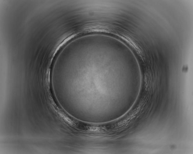 X0000101170790200806271033