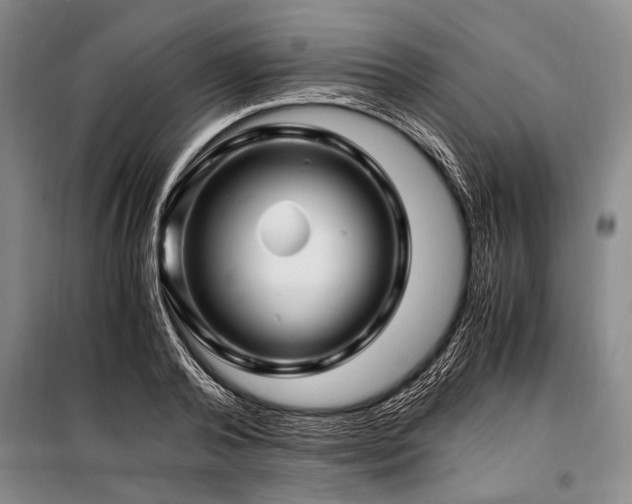 X0000101170792200806271033