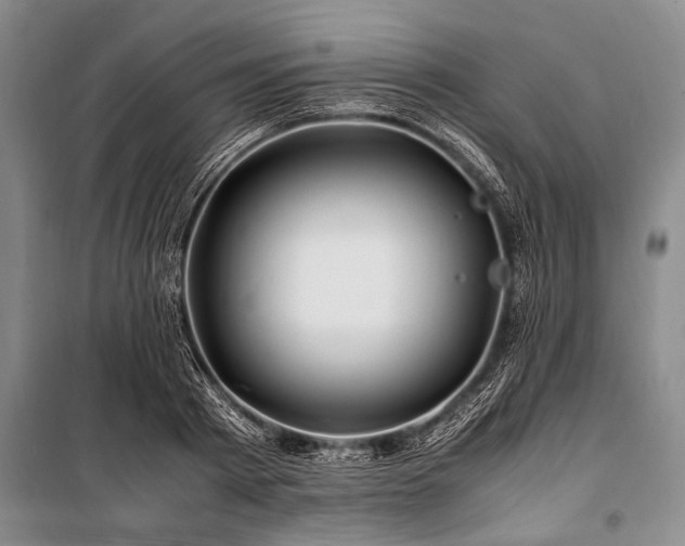 X0000101170793200806271033