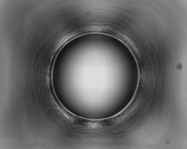 X0000101170794200806271033