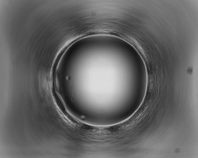 X0000101170795200806271033