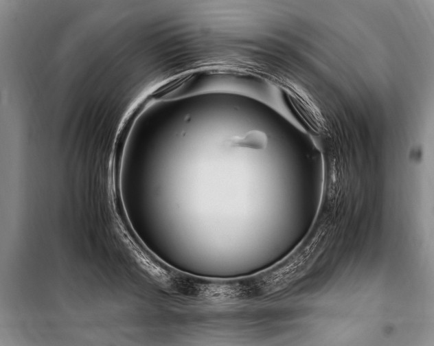 X0000101170796200806271033