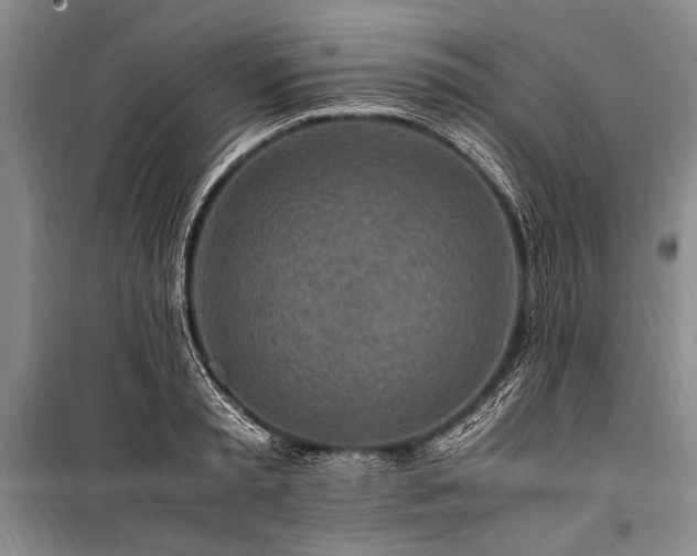 X0000101170797200806271033