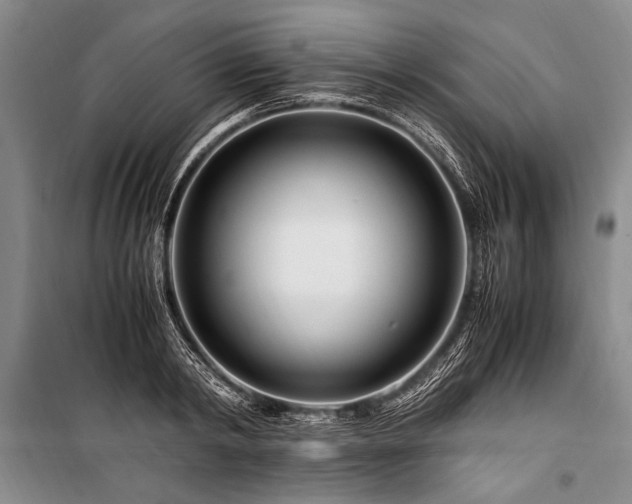 X0000101170798200806271033