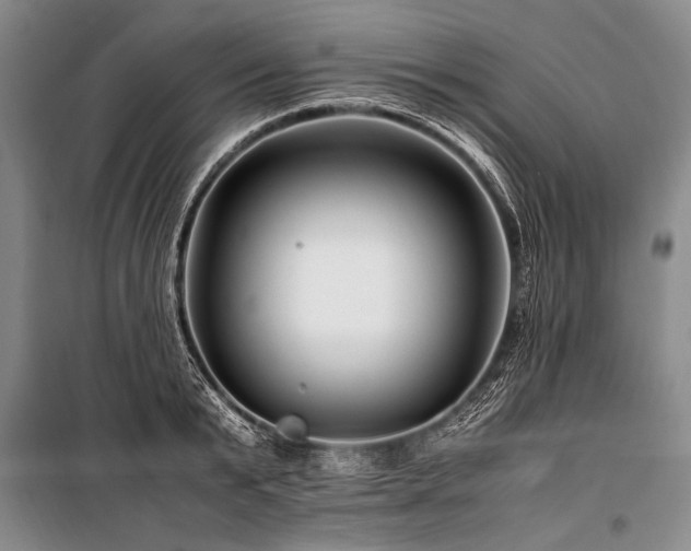 X0000101170799200806271033