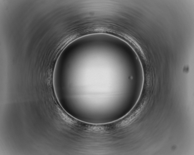 X0000101170801200806271033
