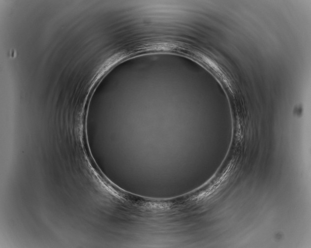 X0000101170802200806271033