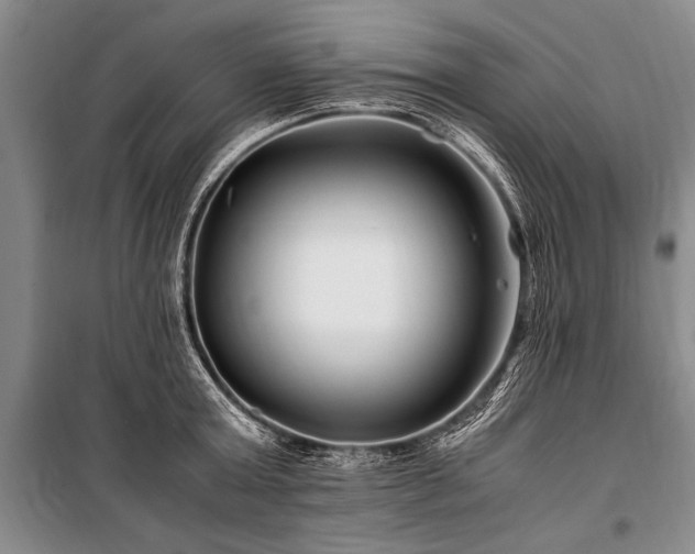 X0000101170803200806271033