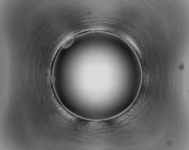 X0000101170805200806271033