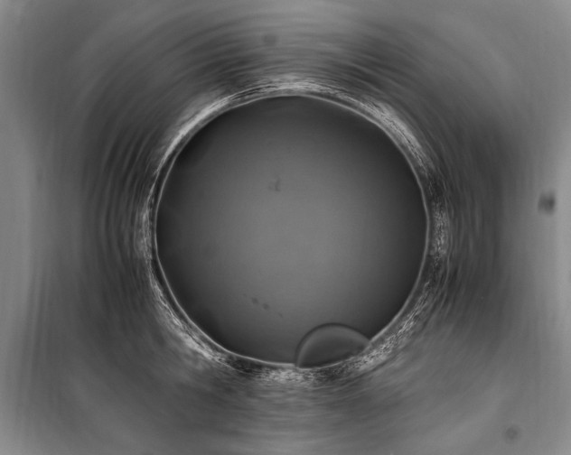 X0000101170806200806271033
