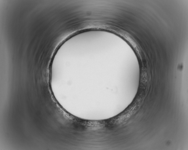 X0000101170807200806271033