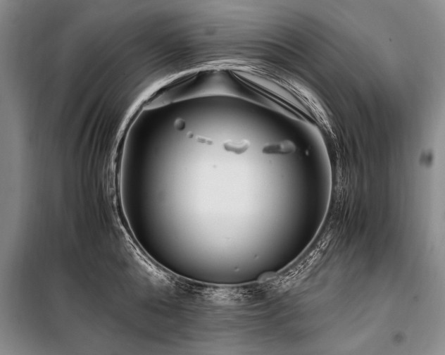X0000101170808200806271033