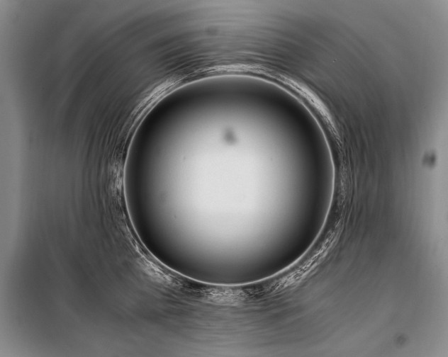 X0000101170809200806271033