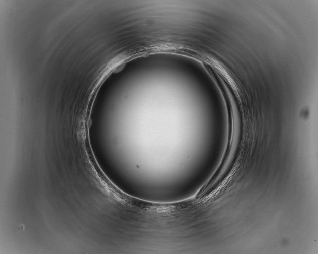 X0000101170810200806271033