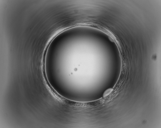 X0000101170811200806271033